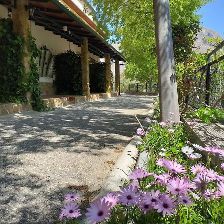 Cortijo El Cercadillo Guest House Bedmar y Garciez ภายนอก รูปภาพ