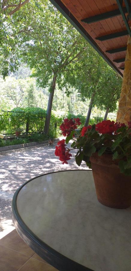 Cortijo El Cercadillo Guest House Bedmar y Garciez ภายนอก รูปภาพ