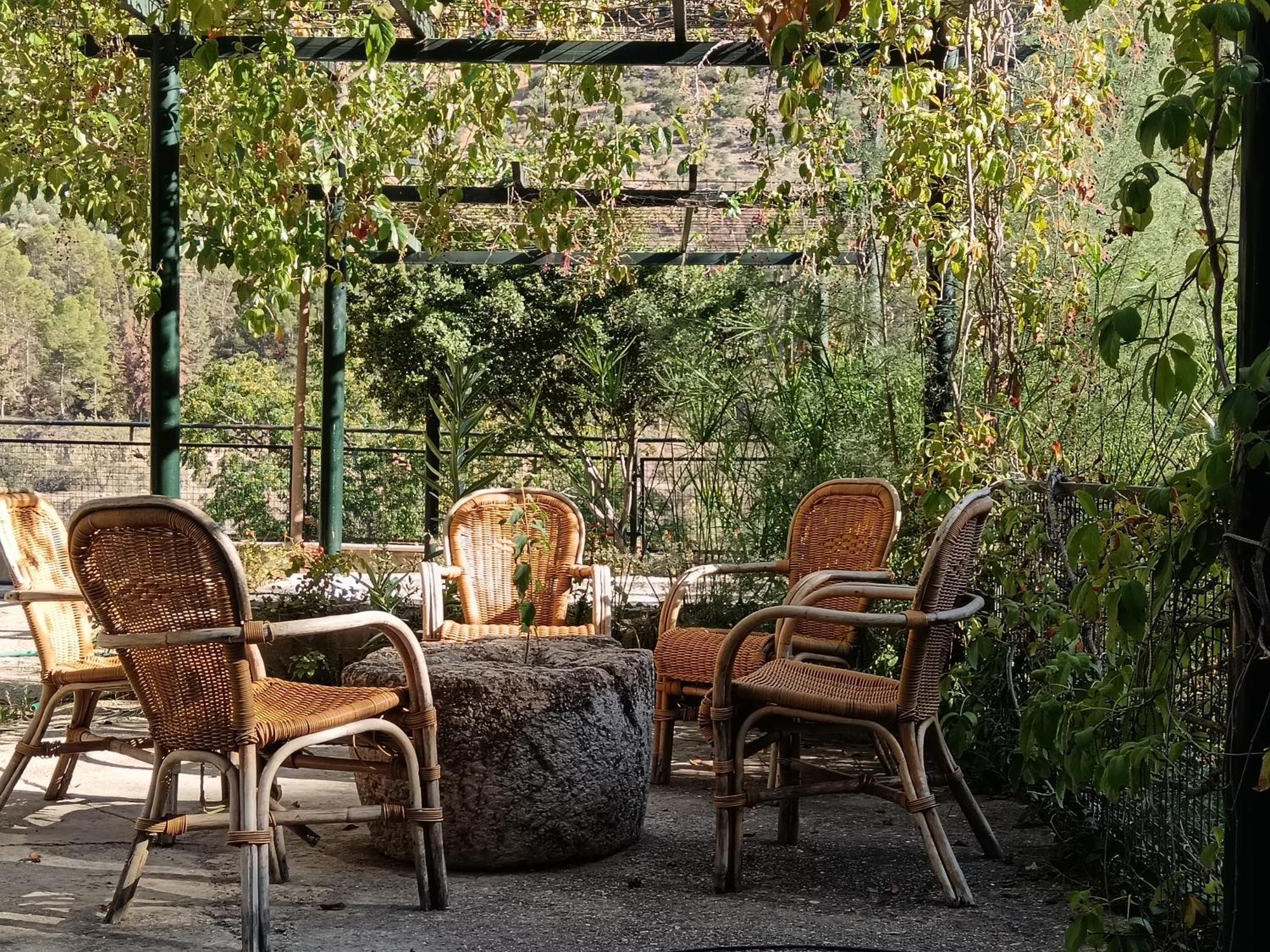 Cortijo El Cercadillo Guest House Bedmar y Garciez ภายนอก รูปภาพ